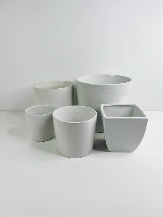 Plants white ceramic pots shot by The Little Market Bunch in Melbourne.