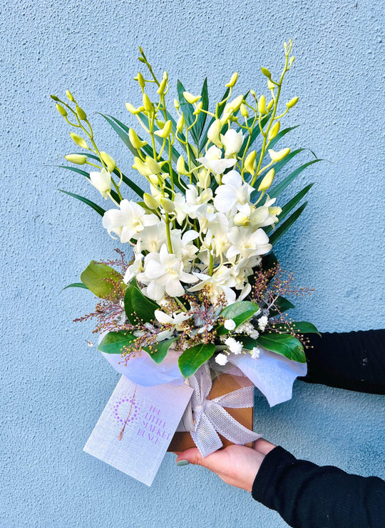 White Orchid Box shot by The Little Market Bunch in Melbourne.