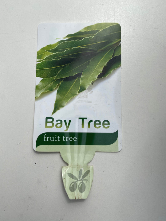 
                  
                    Bay Tree shot by The Little Market Bunch in Melbourne.
                  
                
