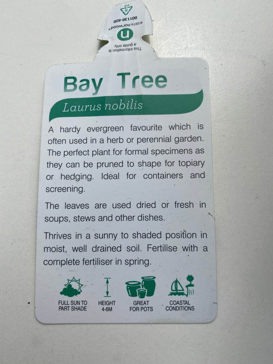 
                  
                    Bay Tree shot by The Little Market Bunch in Melbourne.
                  
                