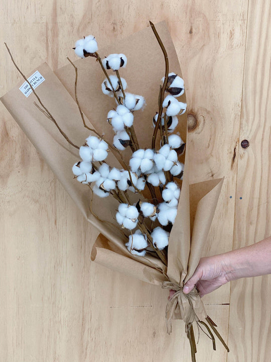 Breeze Cotton Bouquet shot by The Little Market Bunch in Melbourne.
