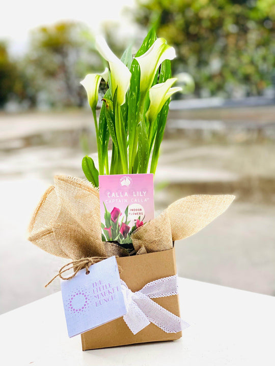 
                  
                    Calla Lilies shot by The Little Market Bunch in Melbourne.
                  
                