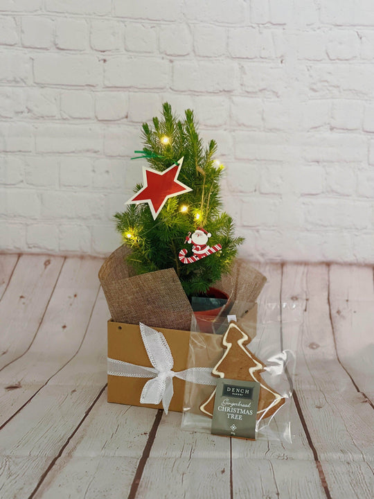 Christmas Tree & Biscuits Bundle shot by The Little Market Bunch in Melbourne.