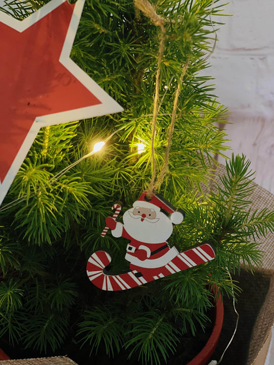 Christmas Tree & Biscuits Bundle shot by The Little Market Bunch in Melbourne.