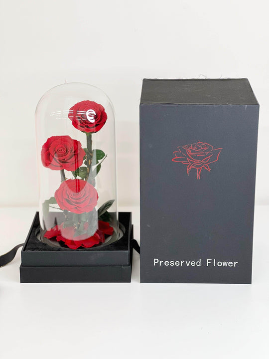 
                  
                    Everlasting Preserved Rose 3 Stems In Glass Dome 30cm shot by The Little Market Bunch in Melbourne.
                  
                