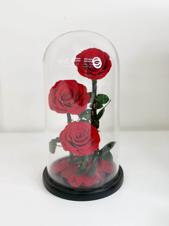 
                  
                    Everlasting Preserved Rose 3 Stems In Glass Dome 30cm shot by The Little Market Bunch in Melbourne.
                  
                