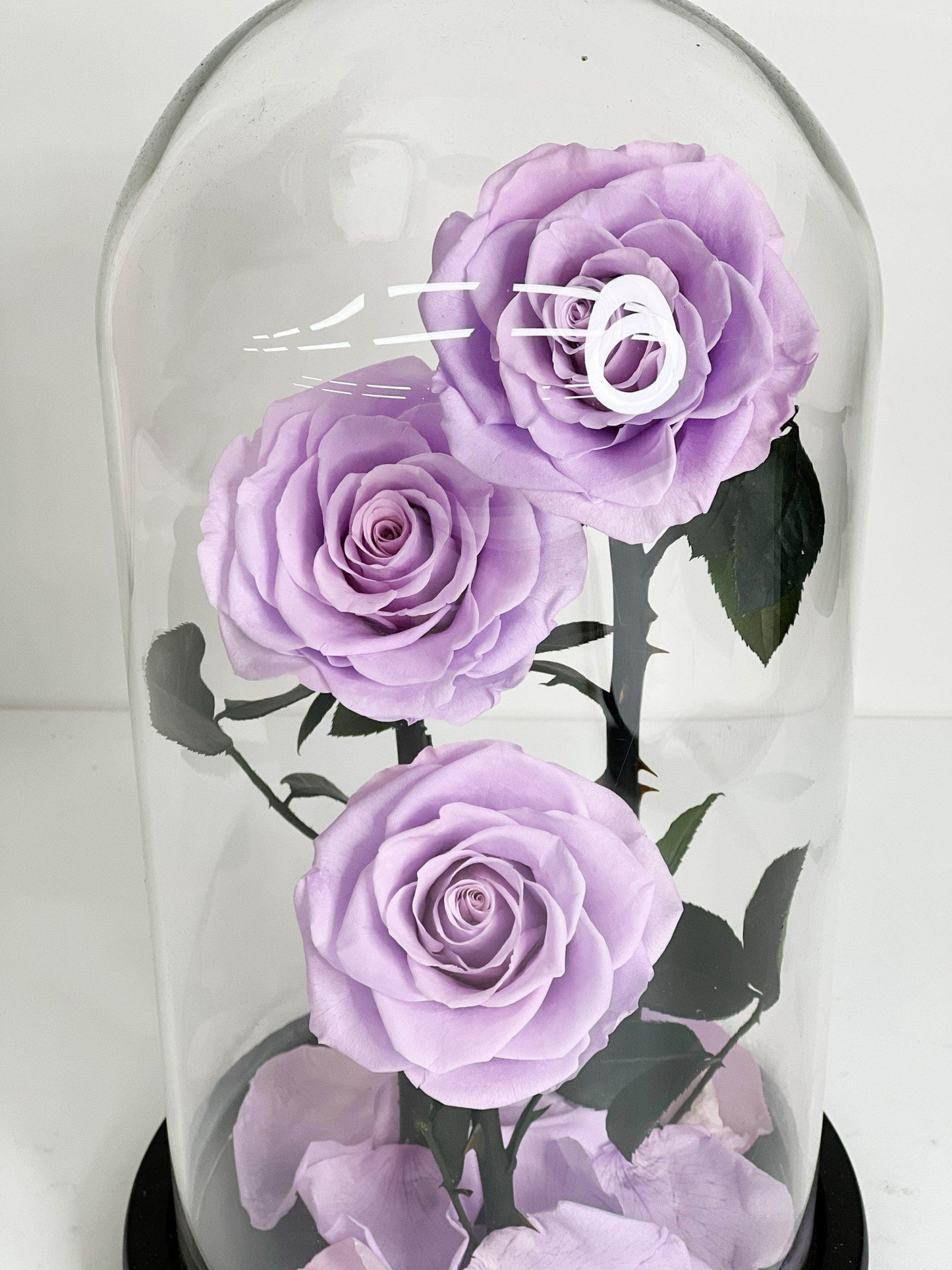 
                  
                    Everlasting Preserved Rose 3 Stems In Glass Dome 30cm shot by The Little Market Bunch in Melbourne.
                  
                