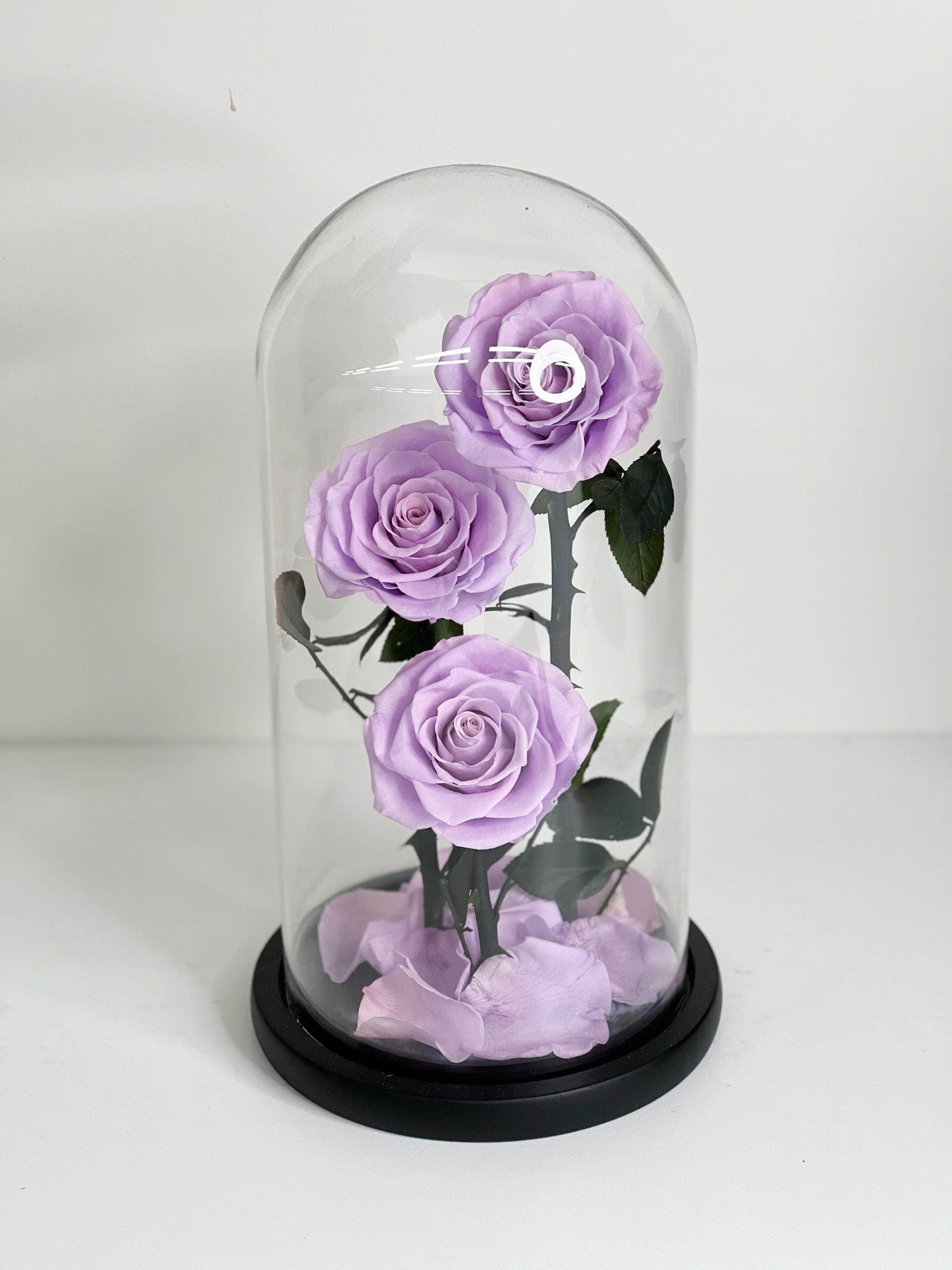 
                  
                    Everlasting Preserved Rose 3 Stems In Glass Dome 30cm shot by The Little Market Bunch in Melbourne.
                  
                