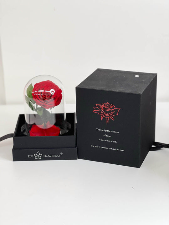 
                  
                    Everlasting Preserved Rose Glass Dome 20CM shot by The Little Market Bunch in Melbourne.
                  
                