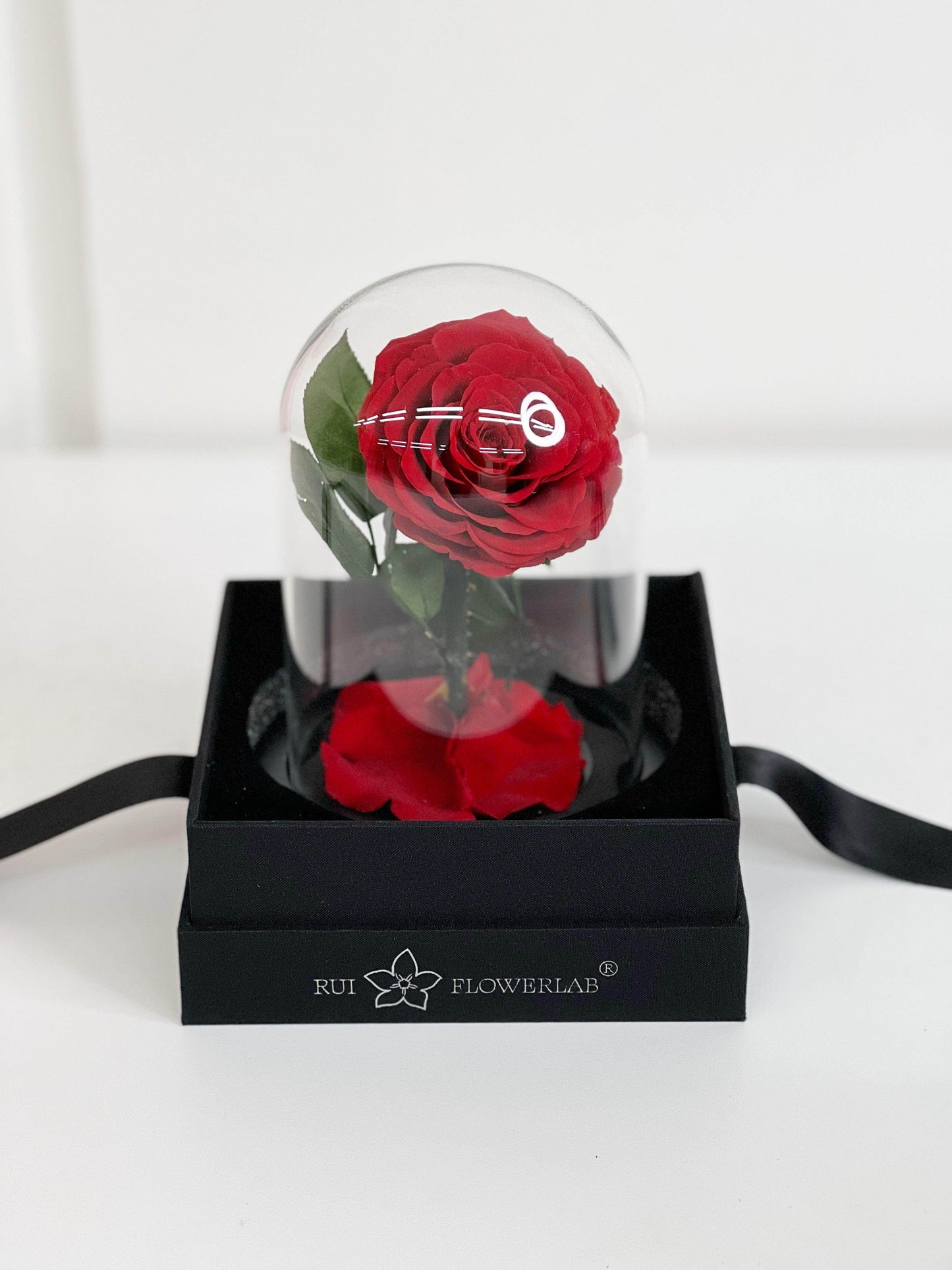 Everlasting Preserved Rose Glass Dome 20CM shot by The Little Market Bunch in Melbourne.