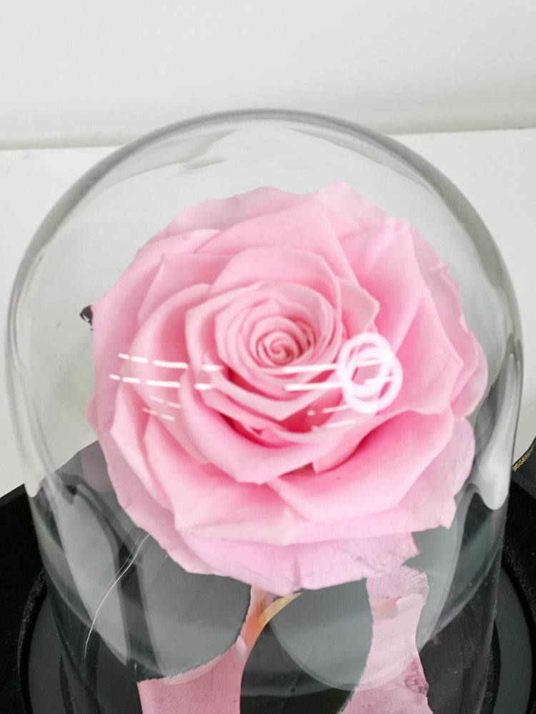 
                  
                    Everlasting Preserved Rose Glass Dome 20CM shot by The Little Market Bunch in Melbourne.
                  
                