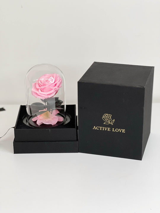 
                  
                    Everlasting Preserved Rose Glass Dome 20CM shot by The Little Market Bunch in Melbourne.
                  
                