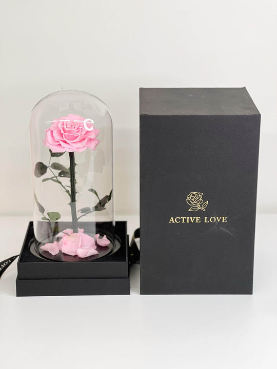 Everlasting Preserved Rose Glass Dome 30cm shot by The Little Market Bunch in Melbourne.