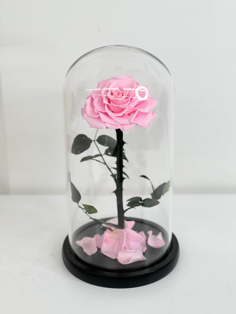 Everlasting Preserved Rose Glass Dome 30cm shot by The Little Market Bunch in Melbourne.