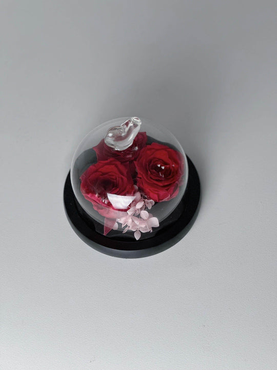 
                  
                    Everlasting Preserved Rose Head Glass Dome 10cm shot by The Little Market Bunch in Melbourne.
                  
                