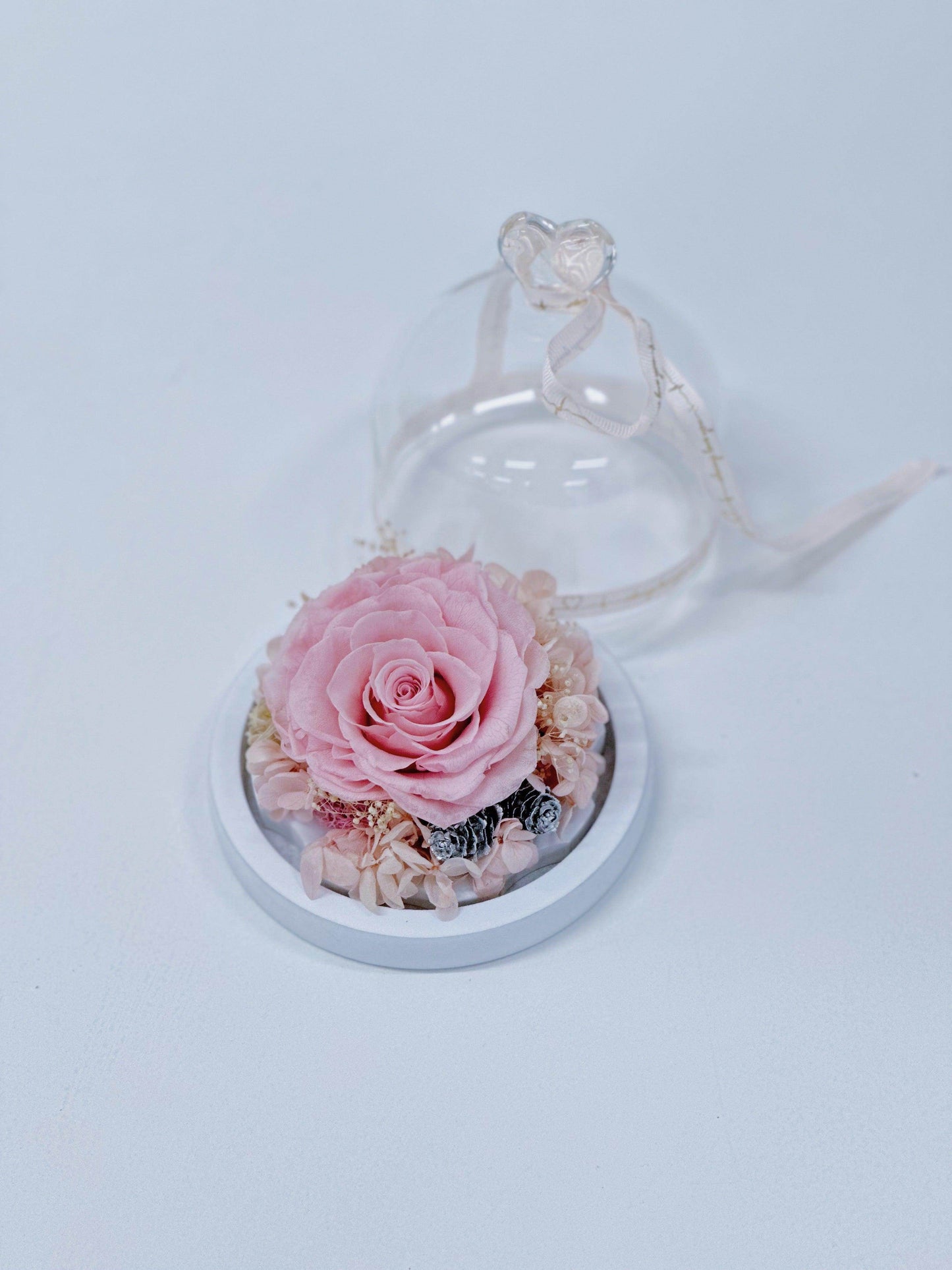 
                  
                    Everlasting Preserved Rose Head Glass Dome 10cm shot by The Little Market Bunch in Melbourne.
                  
                