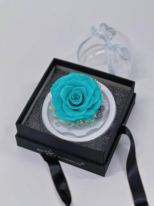 
                  
                    Everlasting Preserved Rose Head Glass Dome 10cm shot by The Little Market Bunch in Melbourne.
                  
                