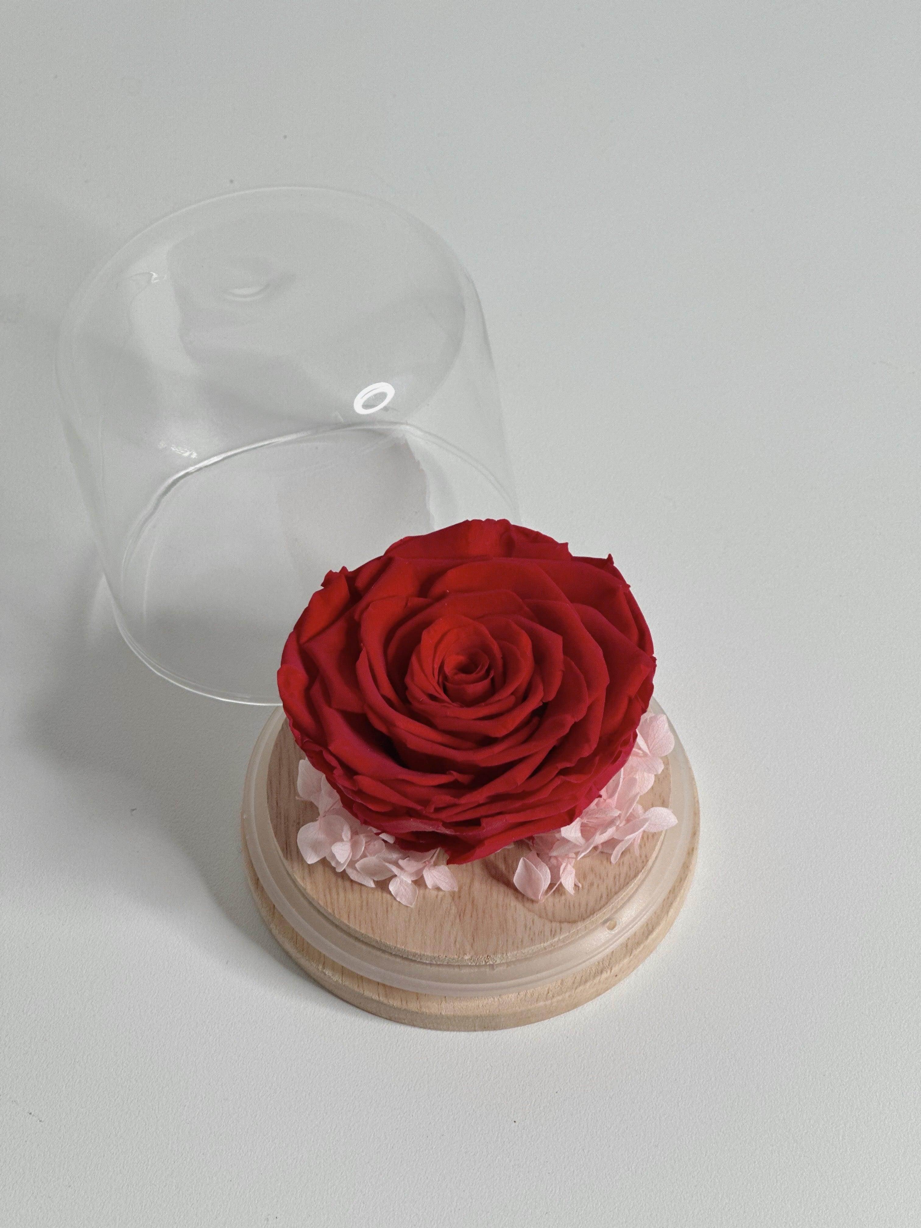 Everlasting Rose Head Natural Wood Base