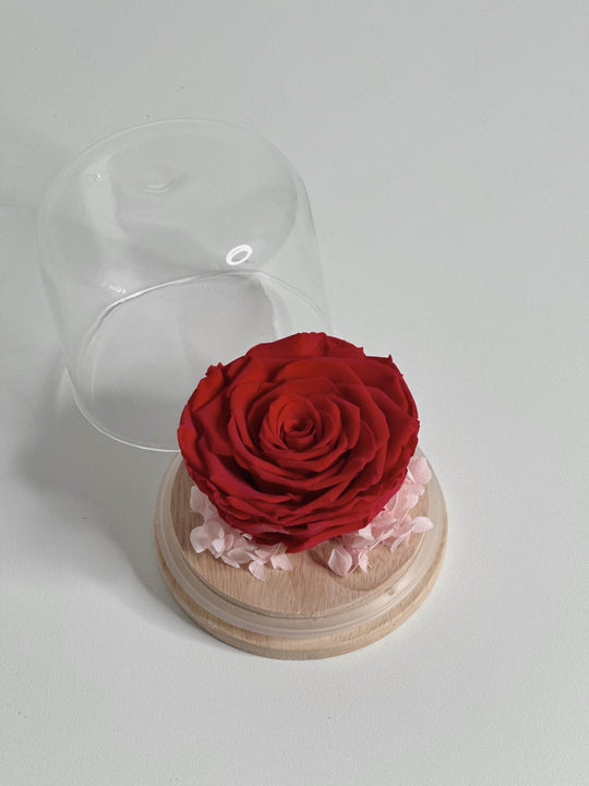 Everlasting Rose Head Natural Wood Base shot by The Little Market Bunch in Melbourne.