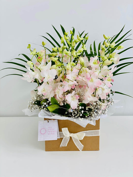 Fairy light Singapore Orchid box shot by The Little Market Bunch in Melbourne.