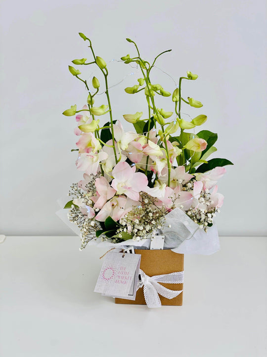 Fairy light Singapore Orchid box shot by The Little Market Bunch in Melbourne.