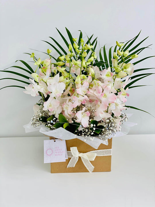 
                  
                    Fairy light Singapore Orchid box shot by The Little Market Bunch in Melbourne.
                  
                