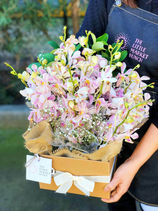 
                  
                    Fairy light Singapore Orchid box shot by The Little Market Bunch in Melbourne.
                  
                