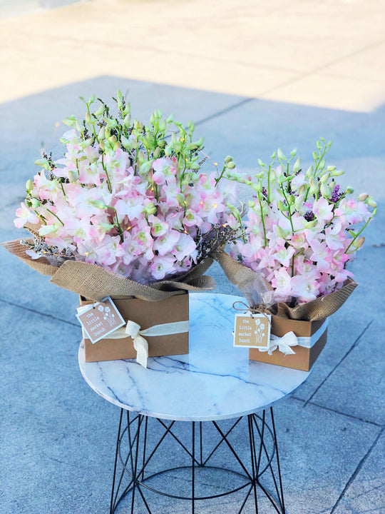 
                  
                    Fairy light Singapore Orchid box shot by The Little Market Bunch in Melbourne.
                  
                