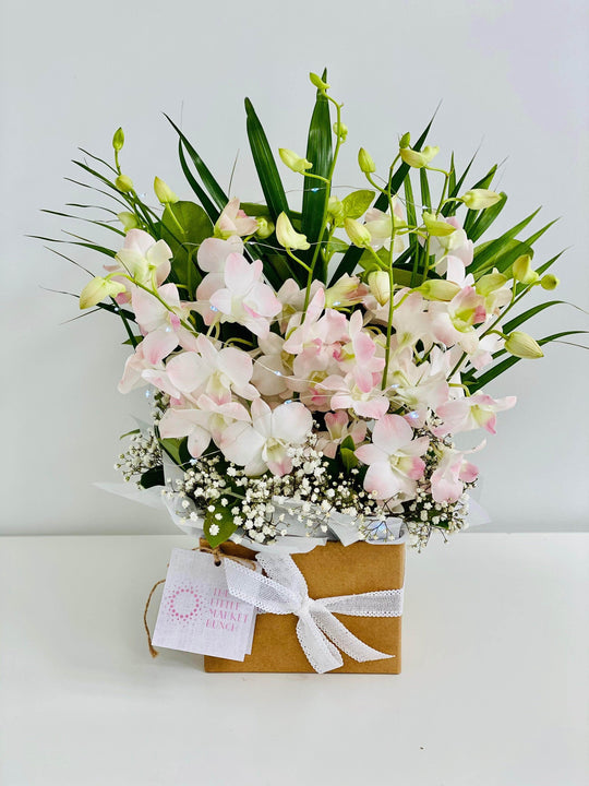 
                  
                    Fairy light Singapore Orchid box shot by The Little Market Bunch in Melbourne.
                  
                