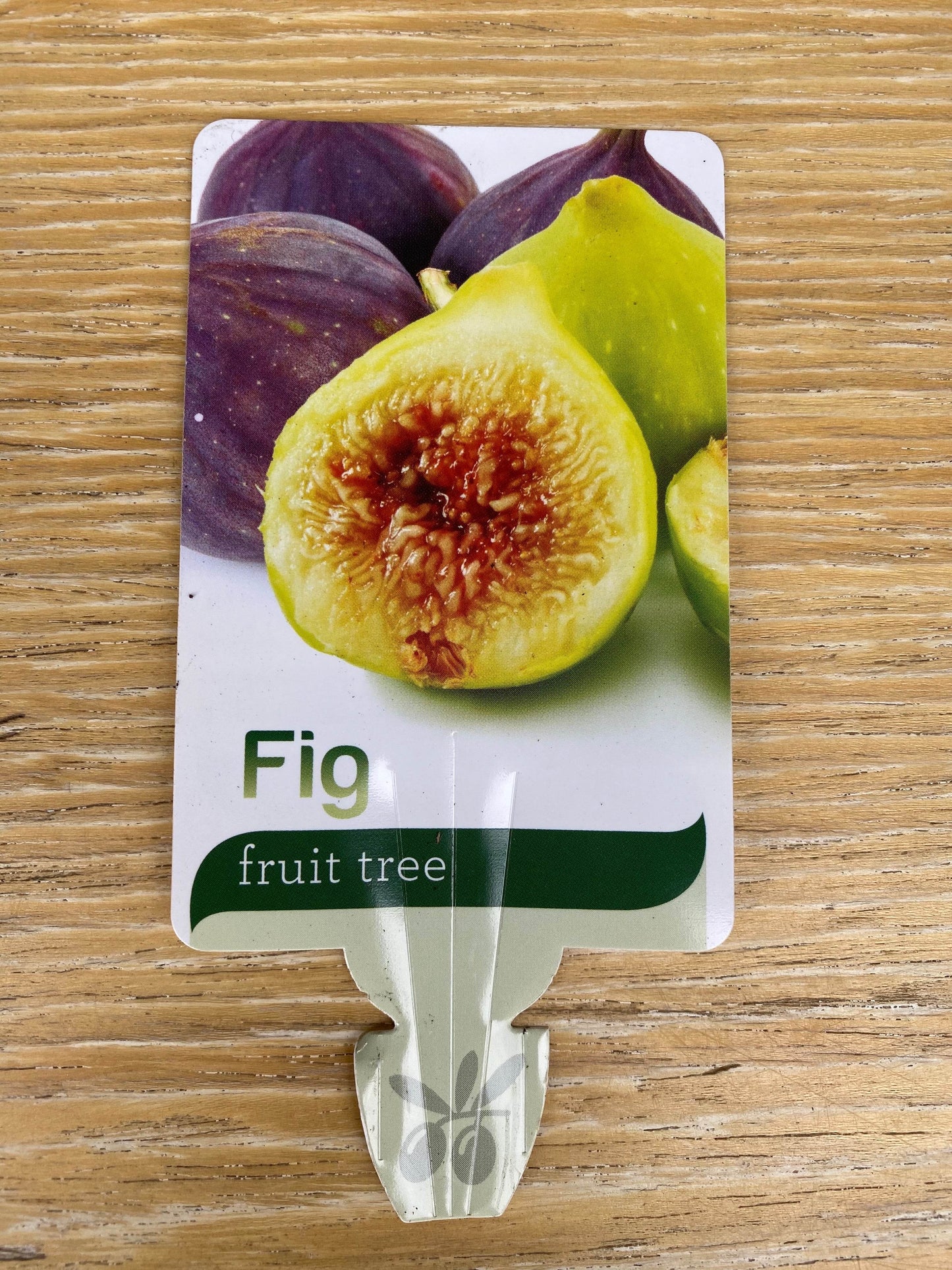
                  
                    Fig fruit tree shot by The Little Market Bunch in Melbourne.
                  
                