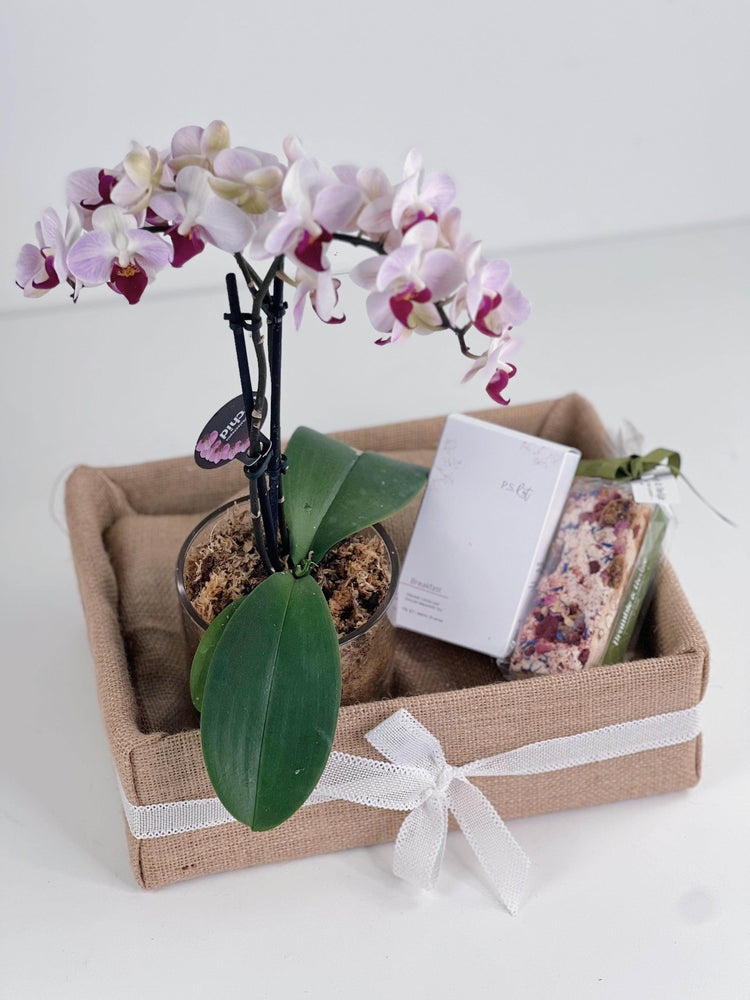 Orchid Pot Gift Box shot by The Little Market Bunch in Melbourne.