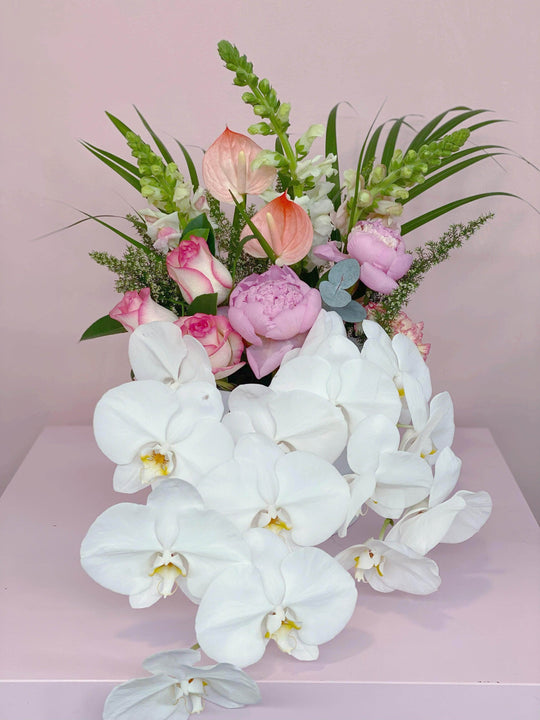Phalaenopsis Orchids Hat Box shot by The Little Market Bunch in Melbourne.