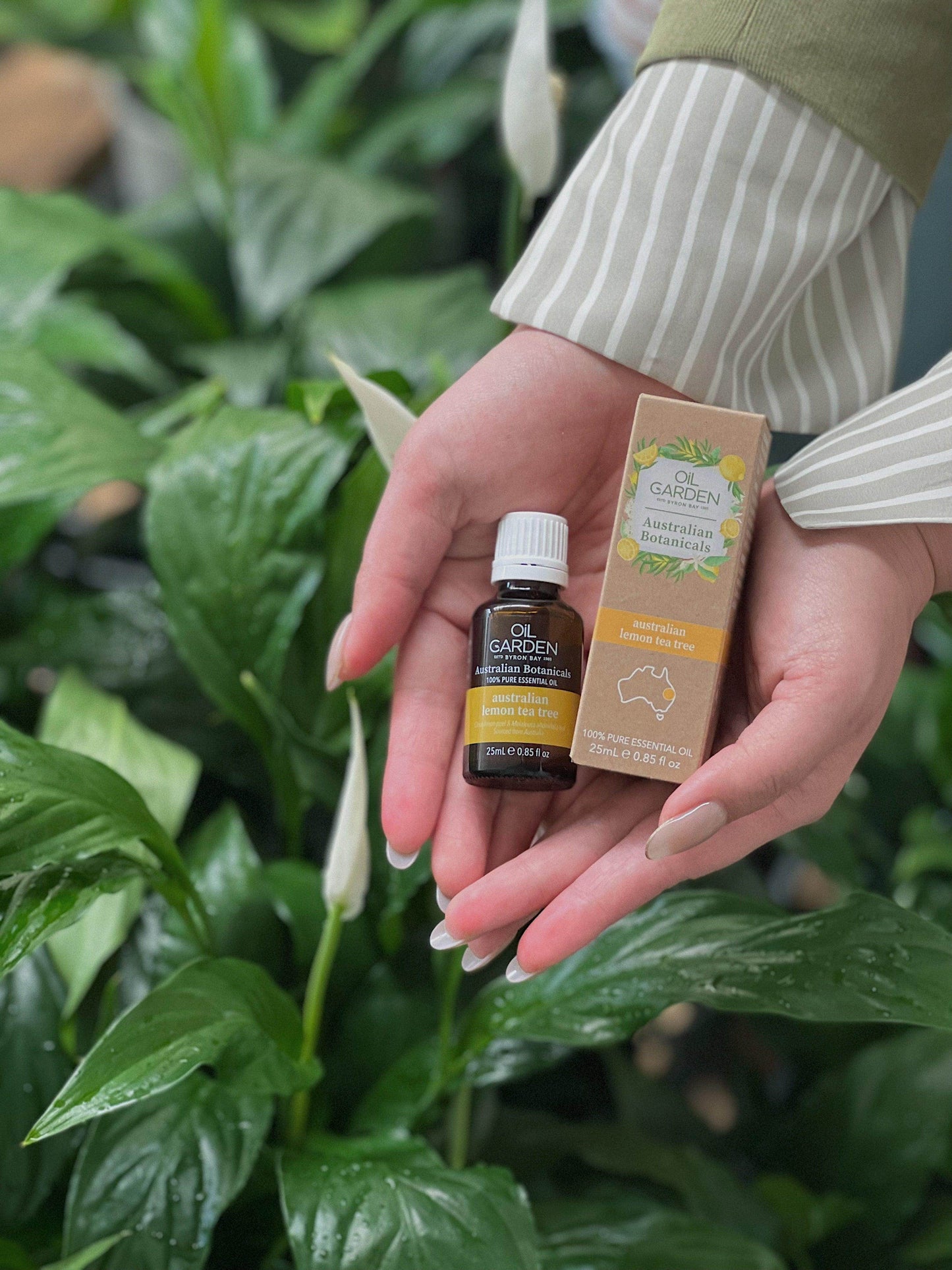 
                  
                    Pure Essential Oils Lemon Tea Tree by Byron Bay 25ml shot by The Little Market Bunch in Melbourne.
                  
                