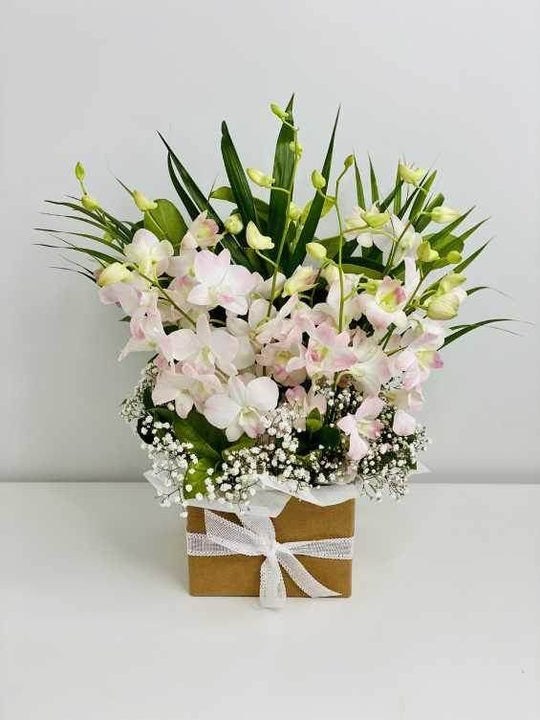 Singapore Orchid Box shot by The Little Market Bunch in Melbourne.