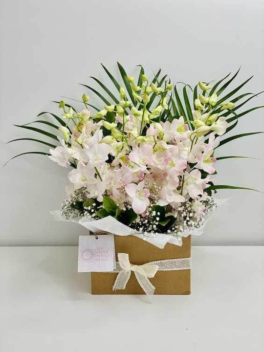 
                  
                    Singapore Orchid Box shot by The Little Market Bunch in Melbourne.
                  
                
