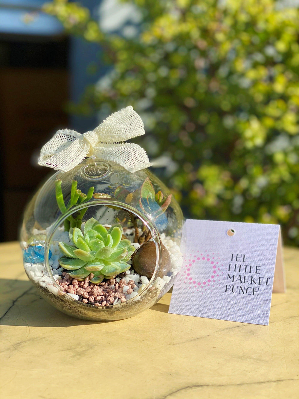 succulent terrarium melbourne Succulent Glass Bowl