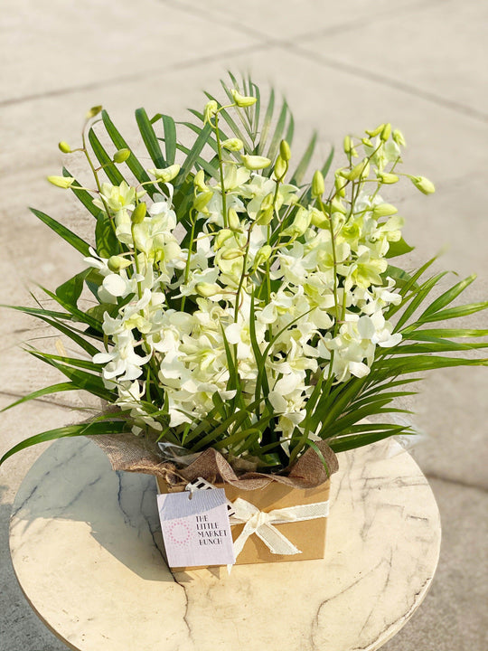 
                  
                    White Orchid Box shot by The Little Market Bunch in Melbourne.
                  
                