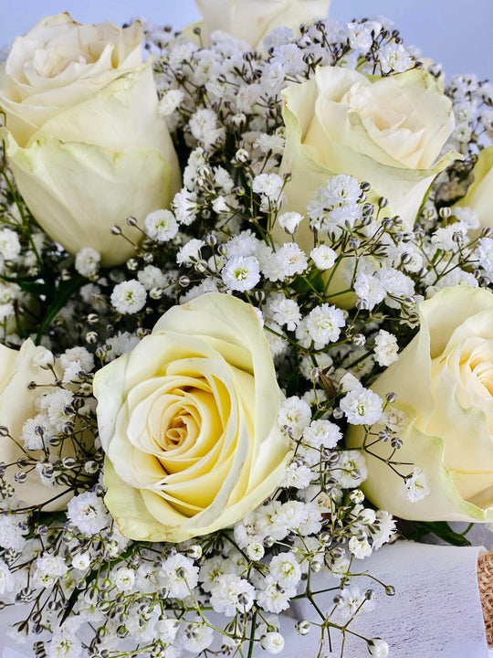 
                  
                    White Roses shot by The Little Market Bunch in Melbourne.
                  
                
